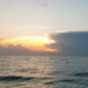 Meet your Posher, Steve